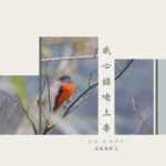 蕊微-基督教古聖詩閩南語讚美之歌專輯-我心謳咾上帝